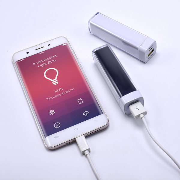 Portable charger